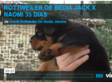 Permanent Link to JACK DE BEDIA X NAOMI DE BEDIA 35 DIAS